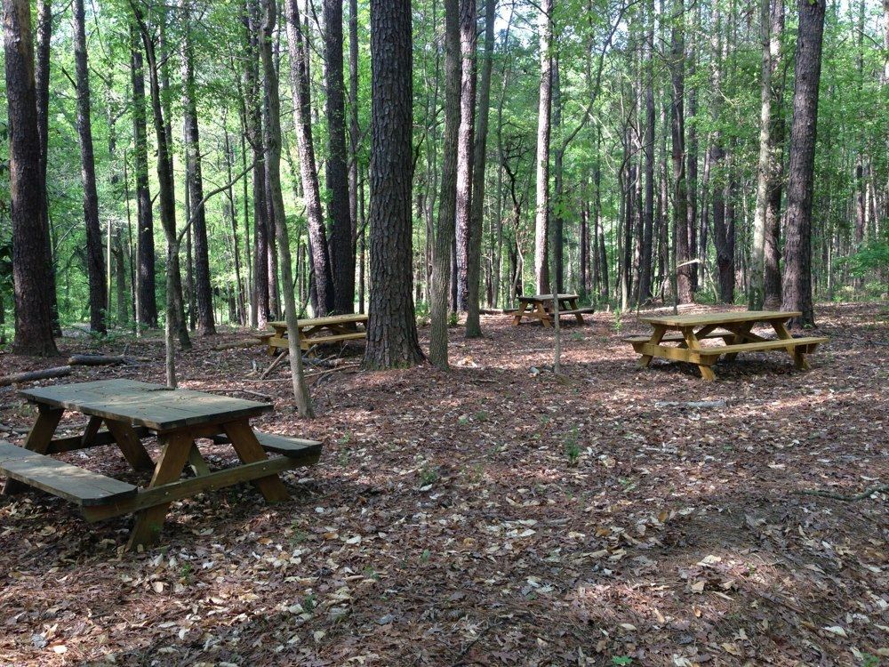 Picnic Area at Elwyn John Nature Preserve by Mikel Manitius