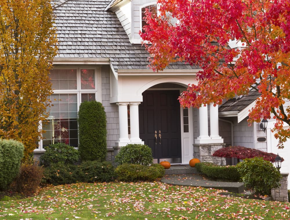 fall-seasonal-tree-essentials-checklist